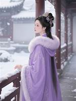 遙遙知雪意